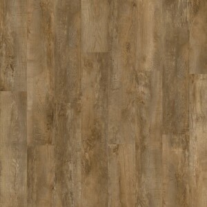 Product detail of Moduleo Roots 40 Classic Oak 24842