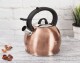 BERLINGERHAUS Konvice pískací nerez 3 L Rosegold Metallic Line BH-1075 - thumb (2)