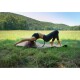 Sportago Yoga Wheel Butterfly - thumb (6)