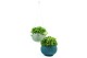 Keter Květináč Keter COZY S závěsný Violet KT-610111 - thumb (2)