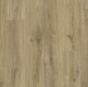 Stamford Oak 611 - thumb (1)