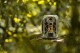 Camouflage Fotopast Camouflage EZ2 Elite Dual Lens 557972 - thumb (2)