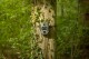 Camouflage Fotopast Camouflage EZ2 Ultra  557971 - thumb (6)