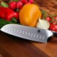 Santoku nůž CULLENS GERMAN SAMURAI 17 cm, Dellinger - thumb (1)