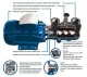 TAPFLO R24 INOX 4 0,25 kW 230/400V 50 Hz - thumb (1)