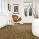 Beaulieu Texo 2318 - thumb (1)
