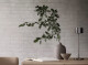 BLOMUS Miska S espresso KUMI - thumb (2)