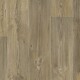 Barn pine 631 M - thumb (0)