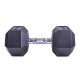 Profi šestihranná pogumovaná činka Sportago Hexagon 10 kg - thumb (2)