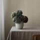 Váza ORA 22 cm, mátová, nerezová ocel, Stelton - thumb (1)