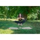 Sportago Yoga Wheel Butterfly - thumb (4)