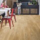 Quick Step Alpha Vinyl Blos Kaňonový dub přírodní AVSPU40039 - thumb (2)