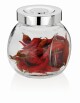KELA Kořenky ROSA sklo sada 4 ks KL-11920 - thumb (2)