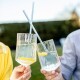 Brčko CHEERS STRAWS 27 cm, sada 8 ks, s kartáčkem, křišťálově čirá, Koziol - thumb (2)