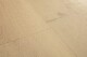 Quick-Step Alpha Vinyl Medium Planks Botanic béžový AVMP40236 - thumb (5)