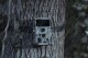 Camouflage Fotopast Camouflage EZ60 Wifi/Bluetooth 557974 - thumb (6)