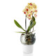 Samozavlažovací květináč 15 cm, na orchideje, sklo, Eva Solo - thumb (0)