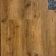 Authentic Oak Dub Knížecí 2030 - thumb (1)