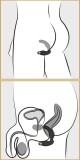 Rocks-Off Rude-Boy - thumb (4)