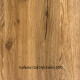Authentic Oak Dub Knížecí 2030 - thumb (0)
