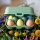 Box na vejce EGGS TO GO MINI, na 6 ks, přírodní listově zelená, Koziol - thumb (1)