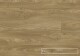 KPP - Euphoria V4 - Atlas Oak 56602 - thumb (0)