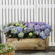 Vyvýšený záhon / truhlík LANITPLAST POTTING8 (S7231) LG2402 - thumb (0)