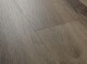 Experto Click SPC 50 plus Dub Zaragoza 468-49 - thumb (1)