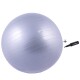 Gymnastický míč Sportago Anti-Burst 65 cm, včetně pumpičky - stříbrná - thumb (0)