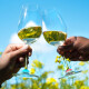 Rozlišovače na sklenice RAINBOW, sada 9 ks, L'Atelier du Vin - thumb (2)