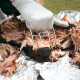 Trhací vidlice, Big Green Egg - thumb (2)
