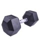 Profi šestihranná pogumovaná činka Sportago Hexagon 10 kg - thumb (0)