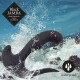 FeelzToys Black Jamba Anal Vibrator - thumb (4)