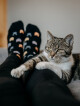 Dámské ponožky Lonka - Felixa kočky, černá, šedá, tmavě modrá Barva: Mix barev, Velikost: 35-38 - thumb (4)