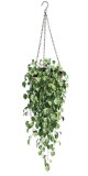 PROGARDEN Květináč závěsný pletený 30 cm KO-435000810 - thumb (1)