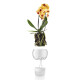 Samozavlažovací květináč 15 cm, na orchideje, sklo, Eva Solo - thumb (1)