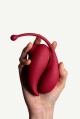 Adrien Lastic Inspiration Red - thumb (13)