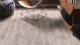 Floor Forever Vinyl Primero Click 22912 Dub perlový - thumb (0)