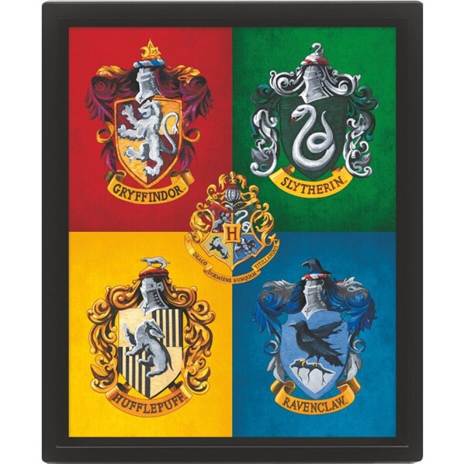 3D obraz Harry Potter barevný - main (0)