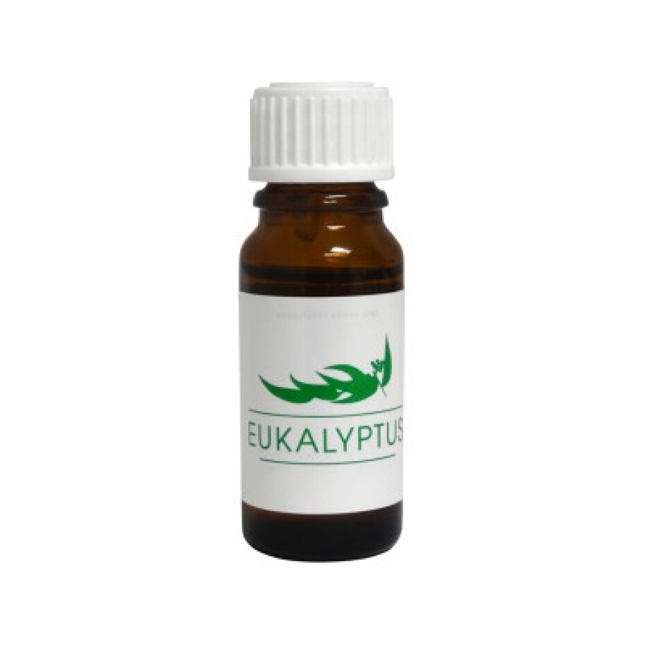 Hanscraft esenciální vonný olej Eukalyptus 10ml - main (0)