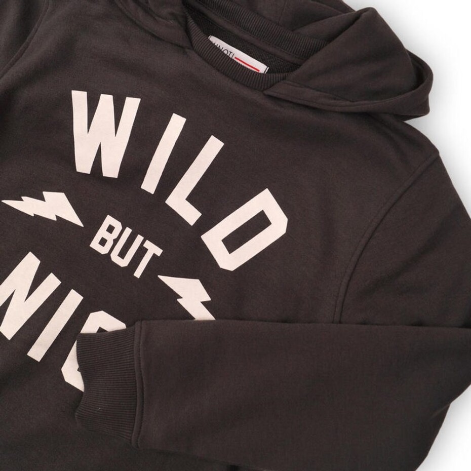 Mikina chlapecká s kapucí, Minoti, KB FLEECE HOODY 12, kluk - 152/158 | 12/13let - main (2)