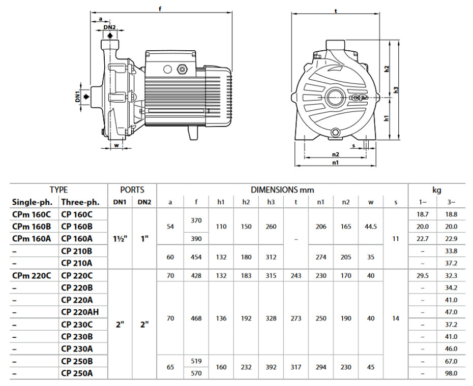 PEDROLLO CP160A 400V - main (3)