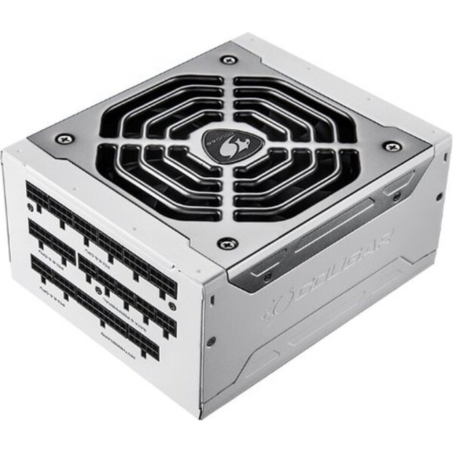 COUGAR POLAR 1050W - main (0)