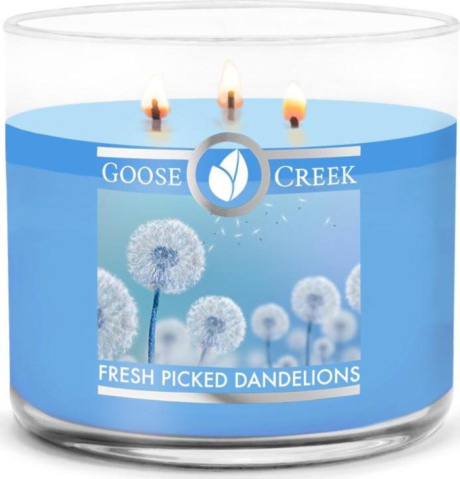 Goose Creek - Právě utržené pampelišky Aromatická svíčka ve skle 411 g - main (0)