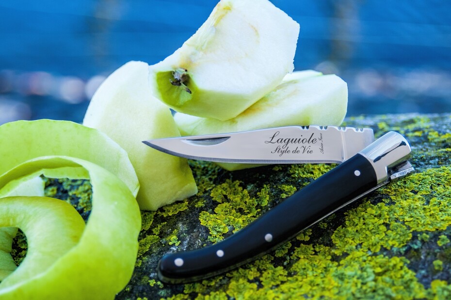 Kapesní nůž LUXURY, ebenová rukojeť, Laguiole - main (2)