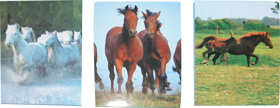 Wiky Notes lepený Koně MINI 40l 6x8,5 cm - main (0)