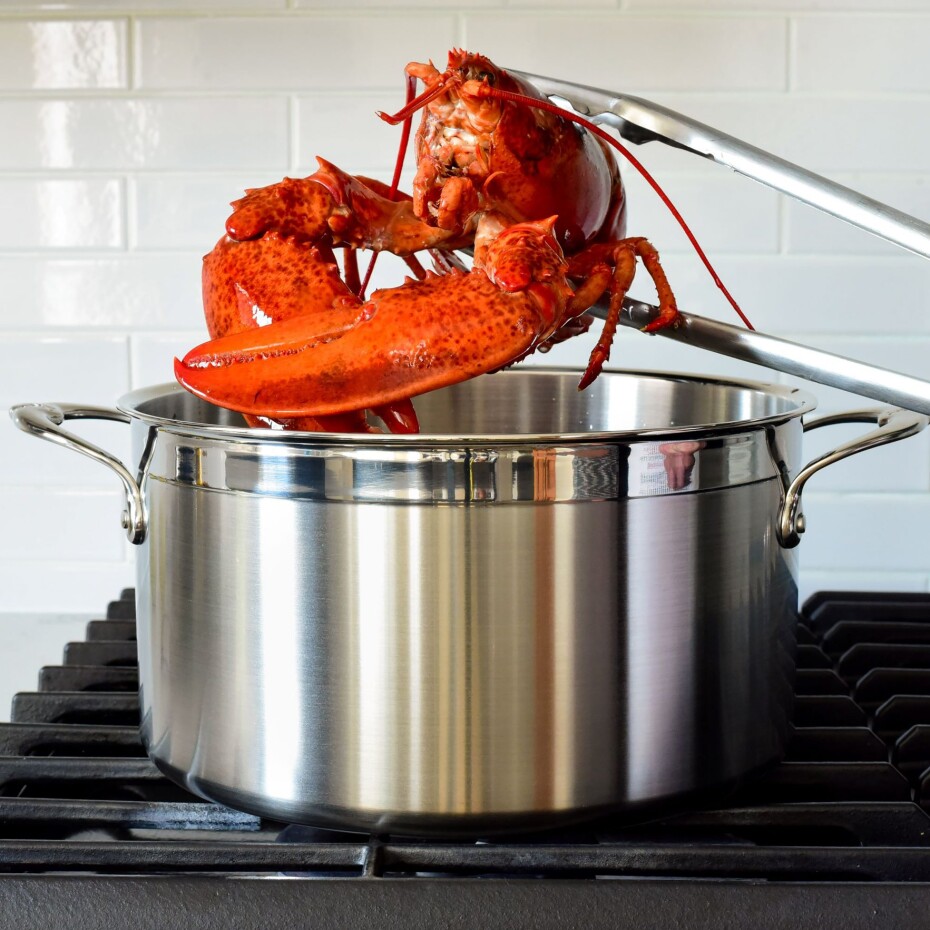 Hrnec PROBOND 26 cm, 7,6 l, nerezová ocel, Hestan - main (3)