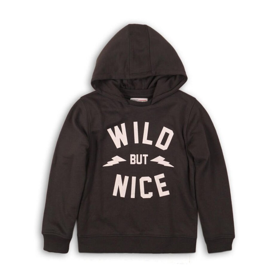 Mikina chlapecká s kapucí, Minoti, KB FLEECE HOODY 12, kluk - 152/158 | 12/13let - main (0)