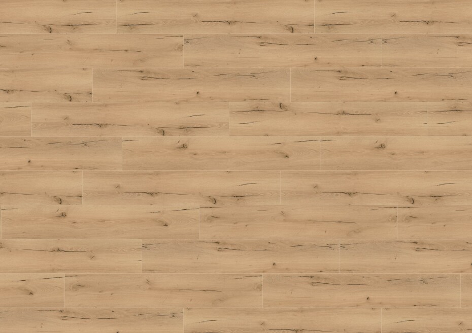 Wineo 1200 wood XL - Announcing Fritz PL271R - main (1)