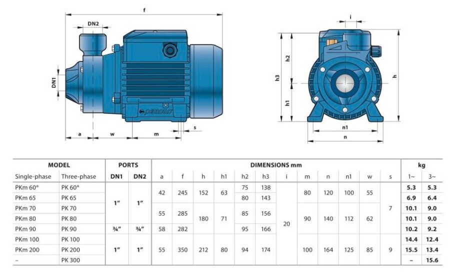 Pedrollo PKm 100 230V - main (2)
